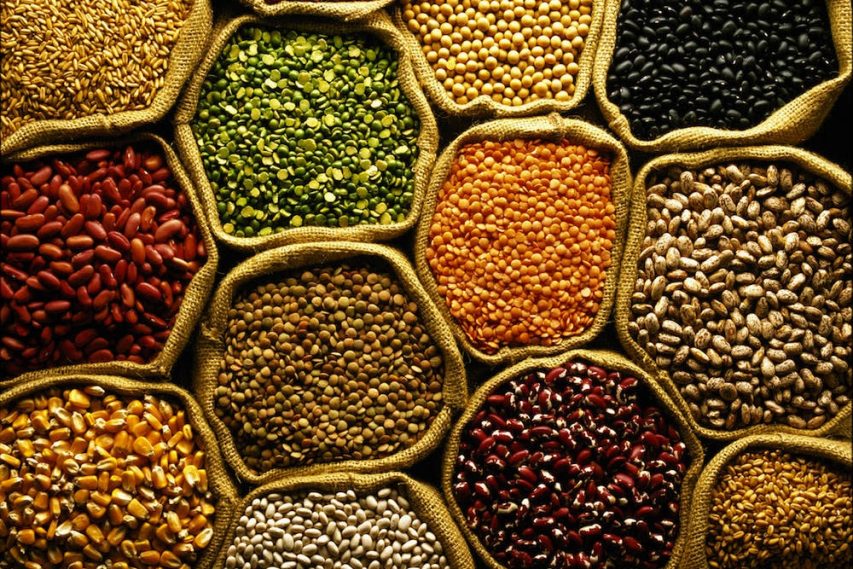 blog-pulses