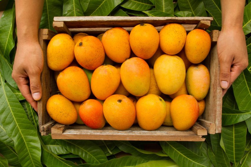 mango